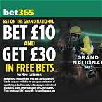 grand national bet odds
